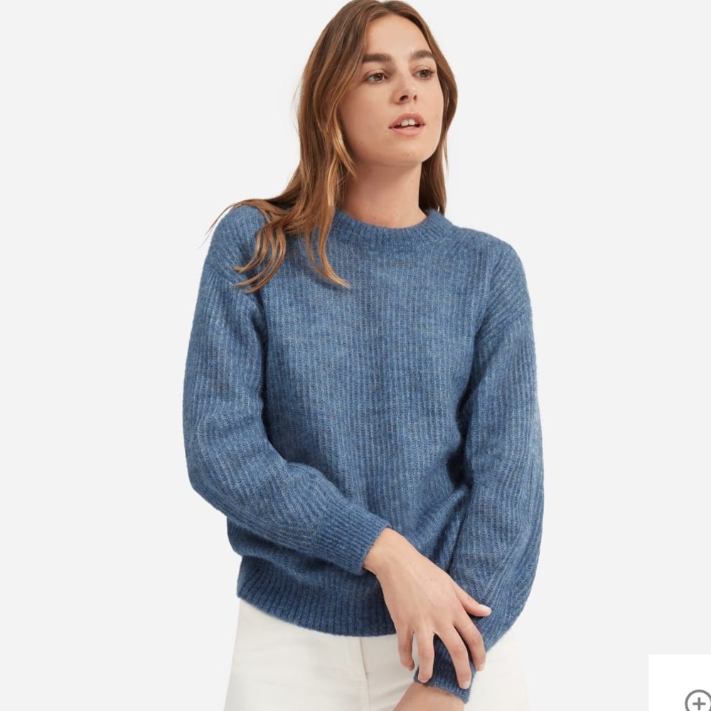 Everlane Oversized Alpaca Crew EUC